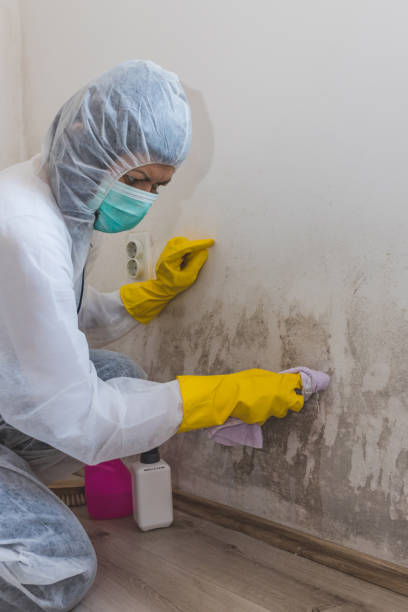 Best Air Quality Testing for Mold Spores  in Mcmechen, WV