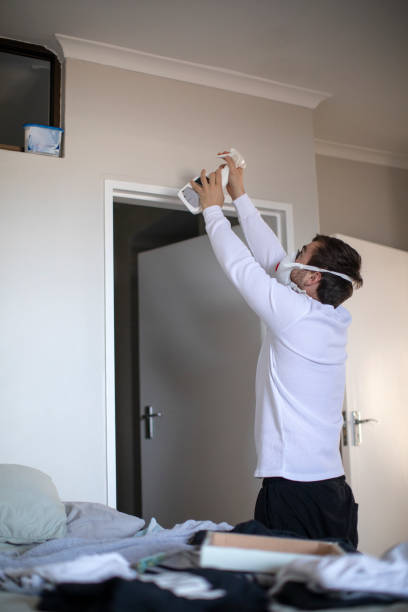 Best Mold Remediation for Rental Properties  in Mcmechen, WV