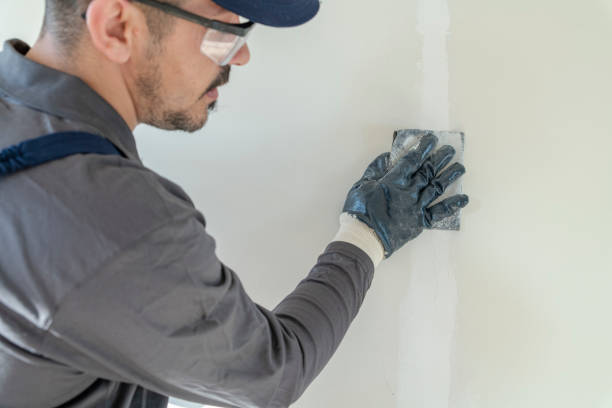 Best Residential Mold Inspection & Testing  in Mcmechen, WV