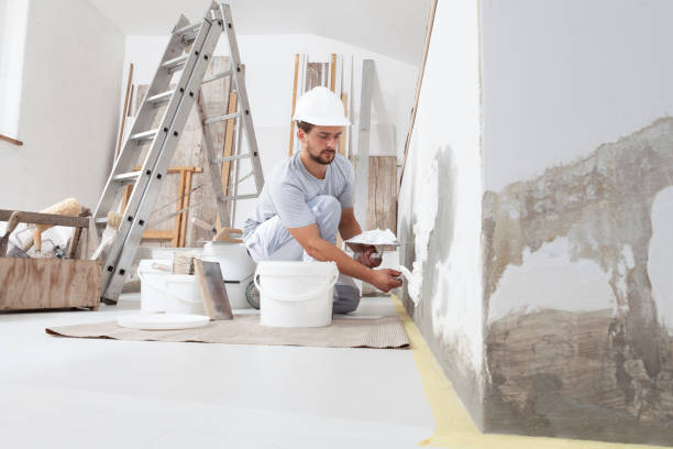 Best Environmental Consulting for Mold Prevention  in Mcmechen, WV