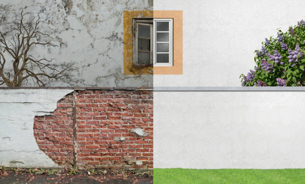 Trusted Mcmechen, WV Mold Removal Experts